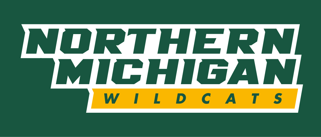 Northern Michigan Wildcats 2016-Pres Wordmark Logo diy iron on heat transfer